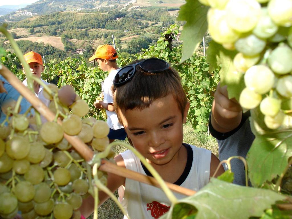 Agriturismo Ca' Isotta Castello di Serravalle المظهر الخارجي الصورة